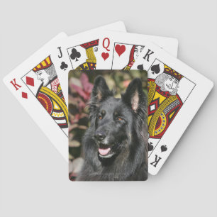 Jeu De Cartes Berger allemand de longue date noir