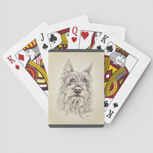 Jeu De Cartes Berger Picard (dos)