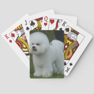 Jeu De Cartes Bichon adorable