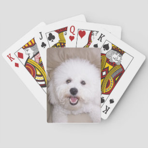 Jeu De Cartes Bichon Frise Smiling Dog Playing Cards