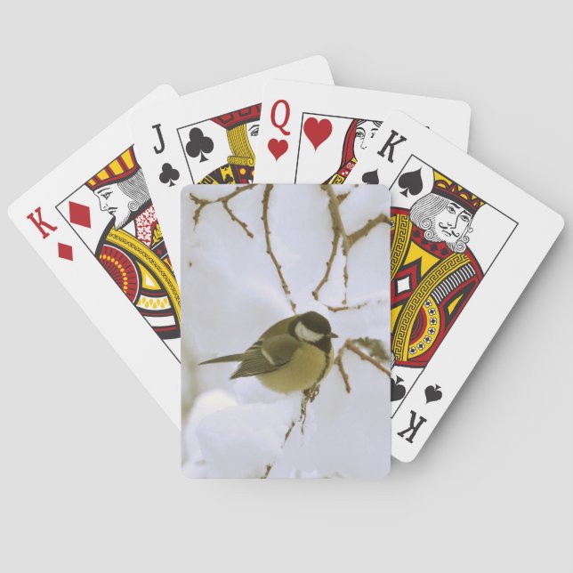 Jeu De Cartes Bird Snow Classic Jouer Cartes (dos)