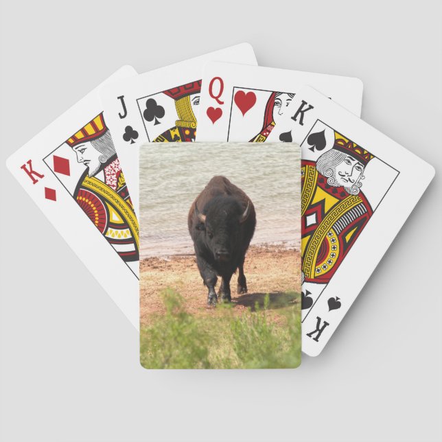 Jeu De Cartes Bison at the Water (dos)