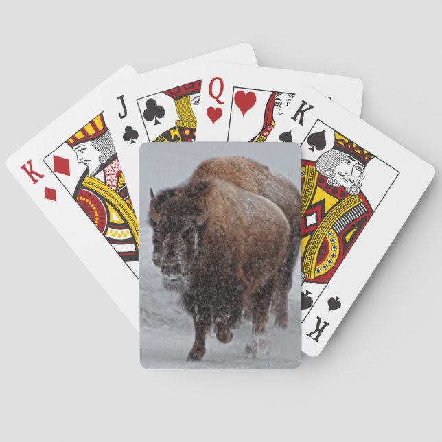 Jeu De Cartes Bison de Yellowstone (dos)