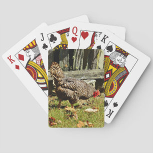 Jeu De Cartes Black and white chicken by fence