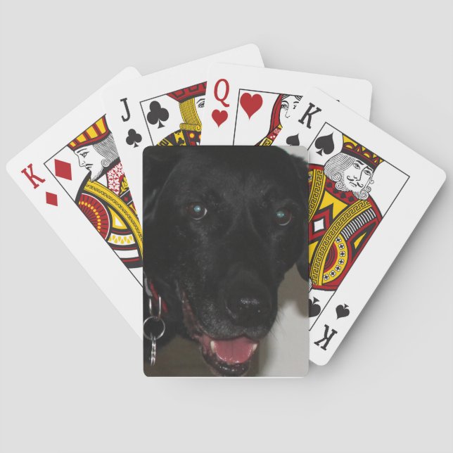 Jeu De Cartes Black Lab (dos)