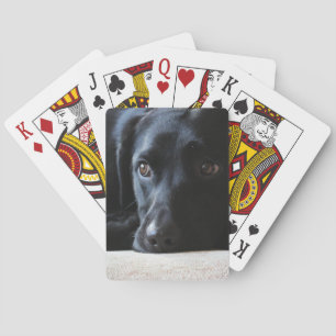 Jeu De Cartes Black Labrador