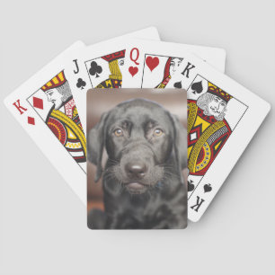 Jeu De Cartes Black Labrador Retriever Puppy Dog