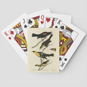 Jeu De Cartes Blackbirds et Oriole, les oiseaux d'Amérique d'Aud