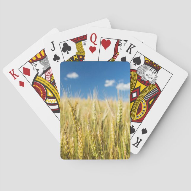 Jeu De Cartes Blé de Kansas (dos)