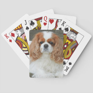 Jeu De Cartes Blenheim Cavalier King Charles Spaniel Chien Chien