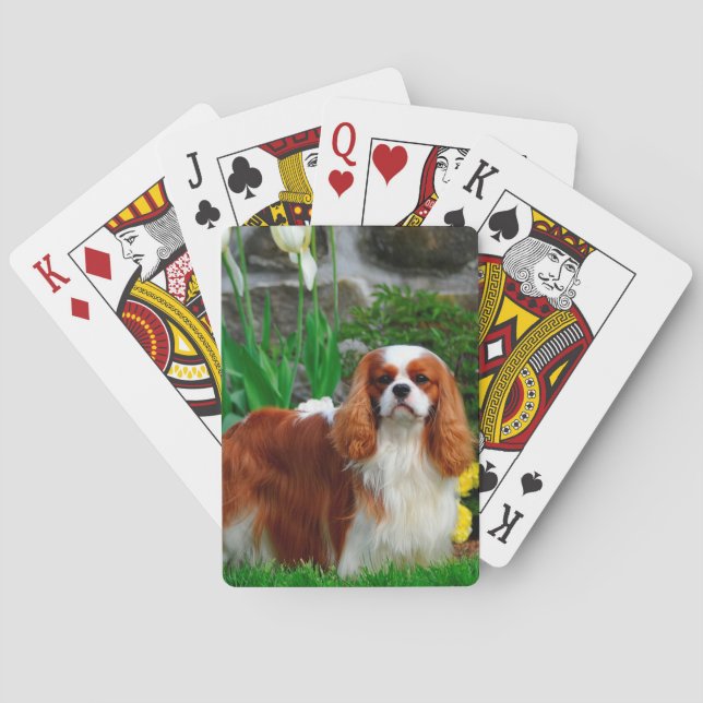Jeu De Cartes Blenheim Cavalier le roi Charles Spaniel (dos)