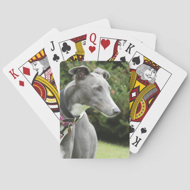 Jeu de cartes bleues gris (dos)
