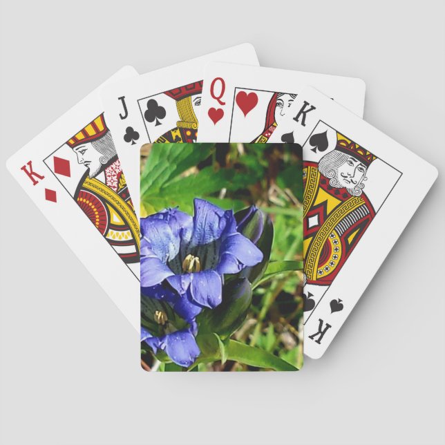 Jeu De Cartes Blue Flowers  (dos)