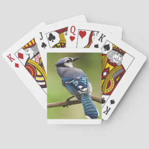 Jeu De Cartes Blue Jay penser à toi ami famille maman papa