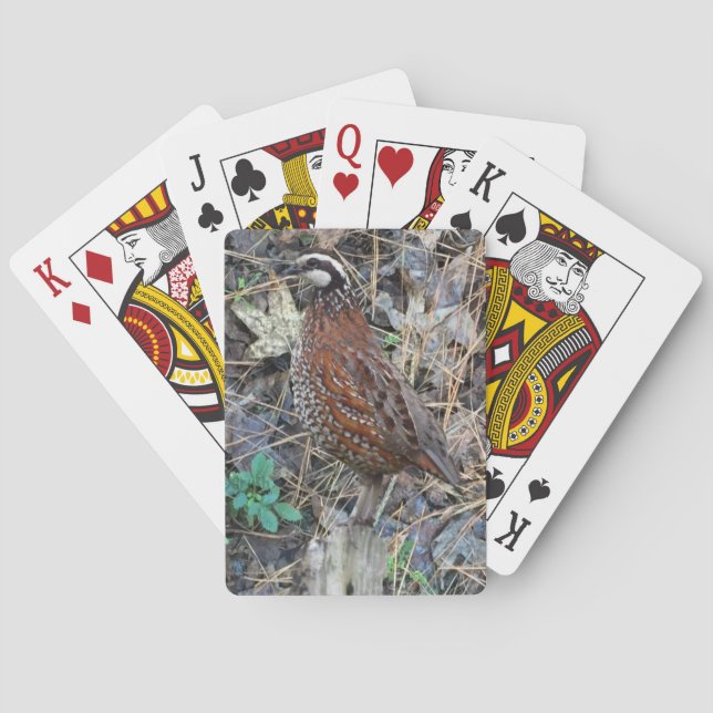 Jeu De Cartes Bobwhite Quail Jouer Cartes, Chasse De Quail (dos)