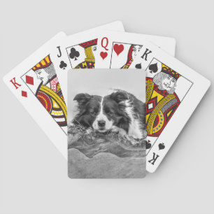 Jeu De Cartes Border collie art