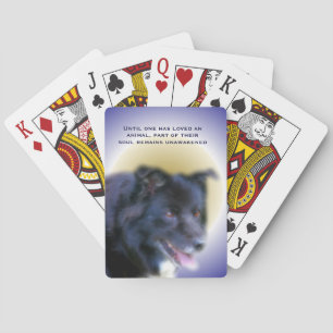 Jeu De Cartes Bordure Collie Amour Pour Les Animaux Inspirationn