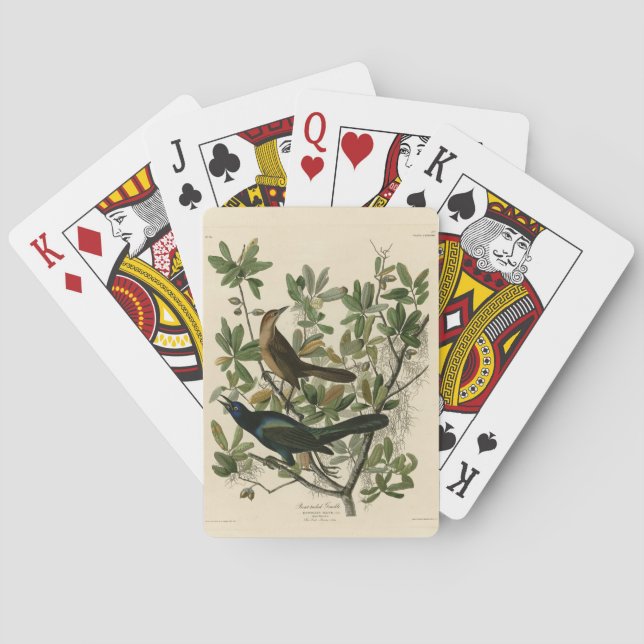 Jeu De Cartes Bouche à queue de bateau - Audubon's Birds of Amer (dos)