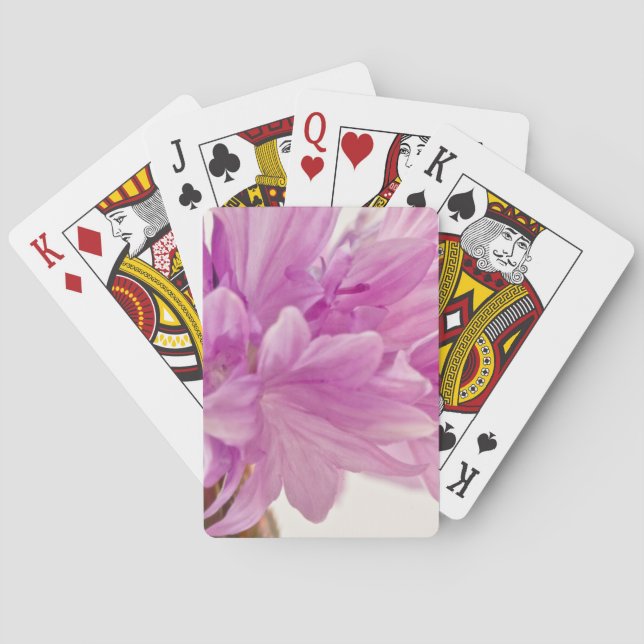 Jeu De Cartes Bouton de mise à jour (dos)