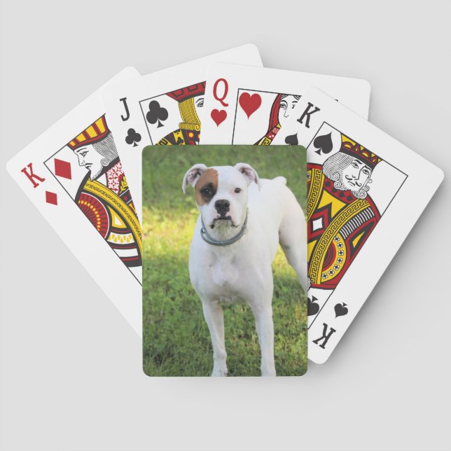 Jeu De Cartes Boxer (dos)
