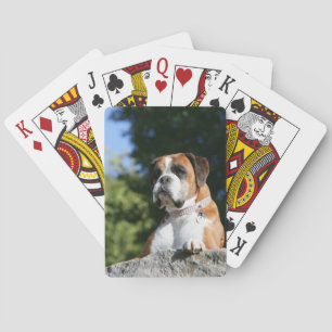 Jeu De Cartes Boxer Dog Laying on a Rock