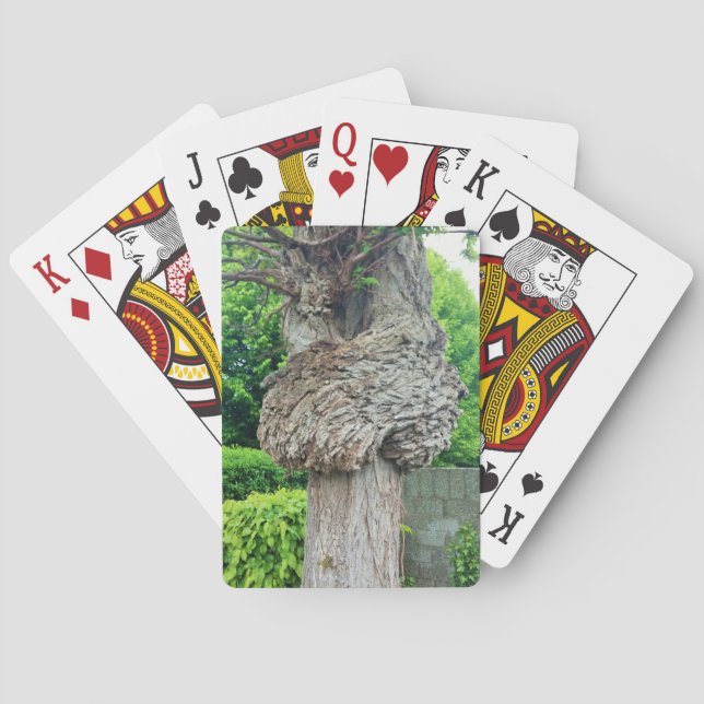 Jeu De Cartes Bracelet d'arbre, Knar, Nature Green (dos)
