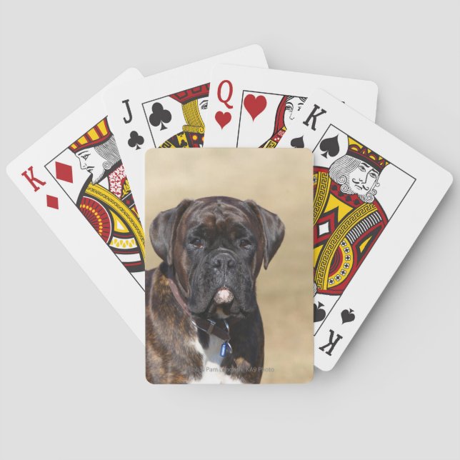 Jeu De Cartes Brindle Boxer Chien debout (dos)