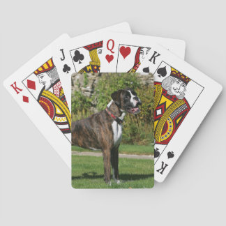 Jeu De Cartes Brindle Boxer Dog Show Stance