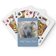 Brindle Pit Bull Puppy par Shirley Taylor