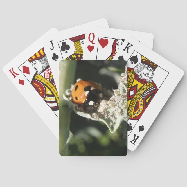 Jeu De Cartes British 7 Spot Ladybug Lecture Cartes (dos)