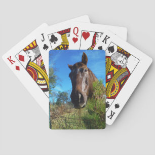 Jeu De Cartes Brown et crème Couleur Cheval bleu ciel