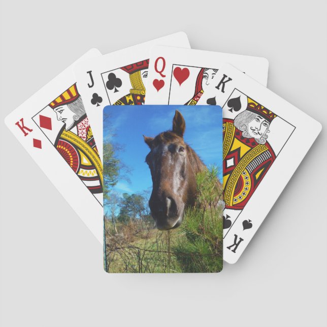 Jeu De Cartes Brown et crème Couleur Cheval bleu ciel (dos)
