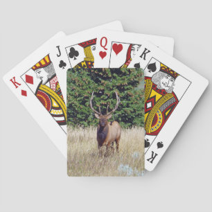 Jeu De Cartes Bull Elk Bicycle Playing Cards
