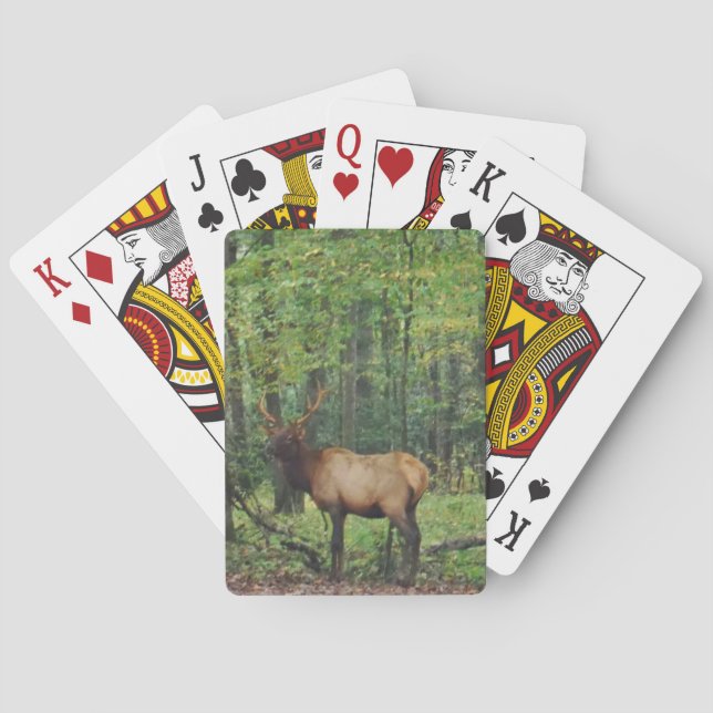 Jeu De Cartes Bull Male Elk à autumn field (dos)