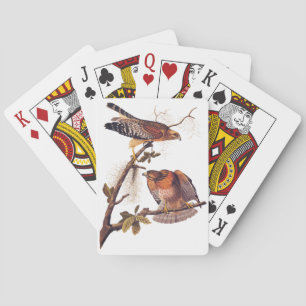 Jeu De Cartes Buse à épaulettes roux Audubon Oiseau de proie