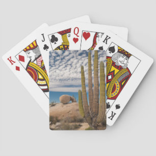 Jeu De Cartes Cactus