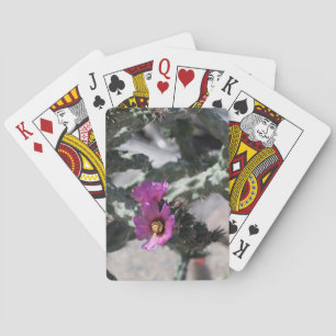 Jeu De Cartes Cactus Challa en fleurs