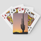 Cactus de Saguaro au coucher du soleil