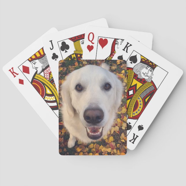 Jeu De Cartes Cadeau pour chien mignon pour les parents d'animau (dos)
