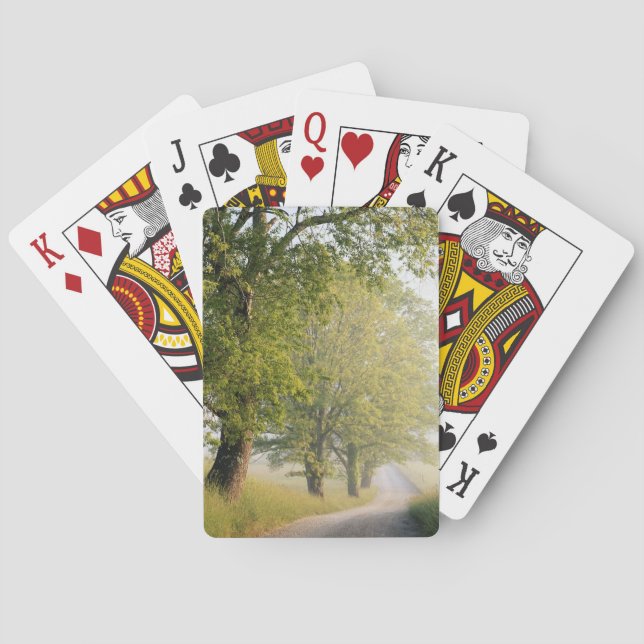 Jeu De Cartes Cades Cove| Great Smokey Mountains, TN (dos)