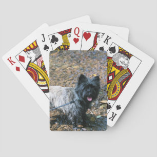 Jeu De Cartes cairn cool