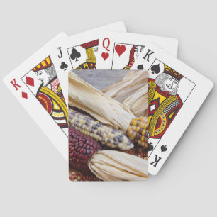 Jeu De Cartes Californie. Maïs indien coloré de récolte automnal
