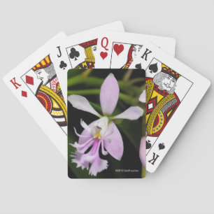 Jeu De Cartes Caligarium d'Epidendrum