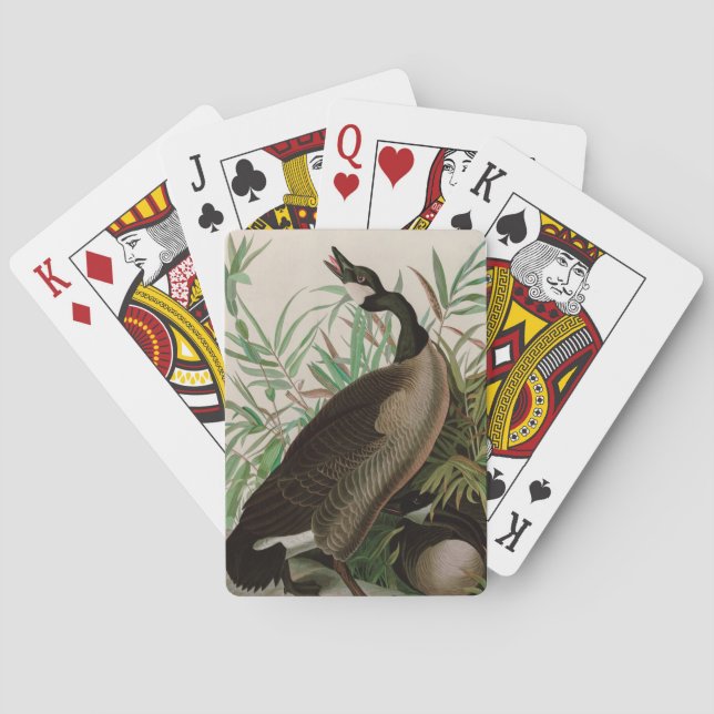 Jeu De Cartes Canada Goose Birds of America Audubon (dos)