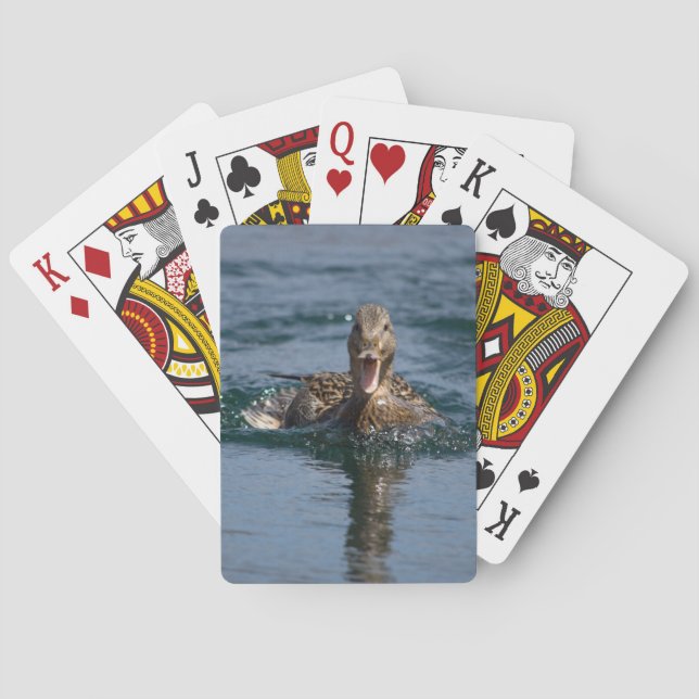 Jeu De Cartes Canard avec bec ouvert                   (dos)