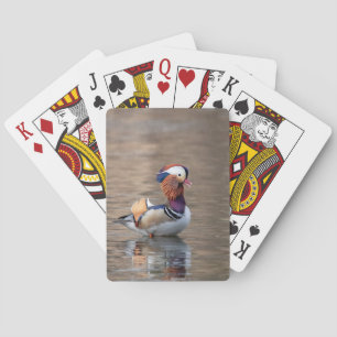 Jeu De Cartes Canard mandarin