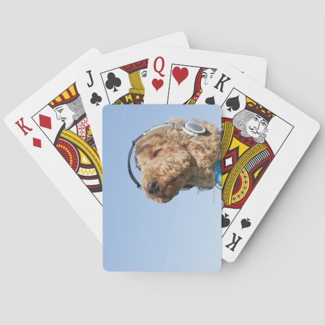 Jeu De Cartes Caniche standard (dos)