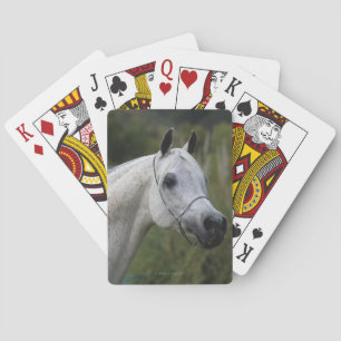Jeu De Cartes Capture d'écran du cheval arabe 1