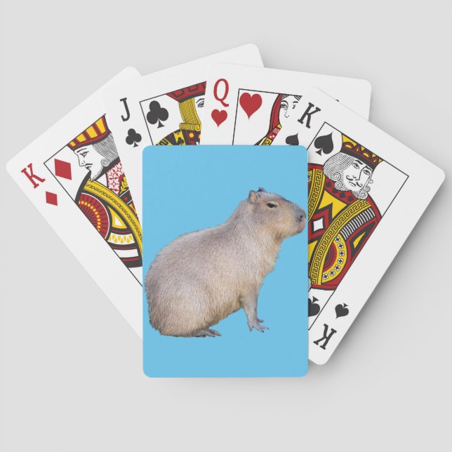 Jeu De Cartes Capybara (dos)