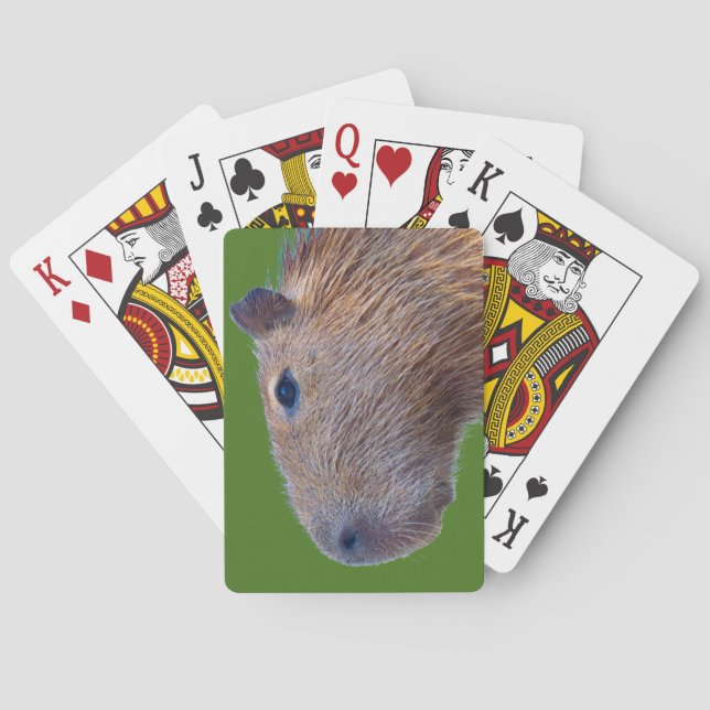 Jeu De Cartes Capybara (dos)